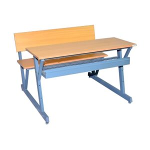 Dual Seater Wooden Classroom Desk with Metal Frame - LTR 033